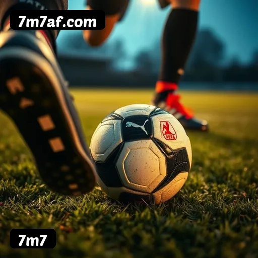 6 vantagens exclusivas do programa VIP da 7m7
